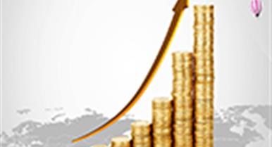 2020�������Ͷ����ܽ�