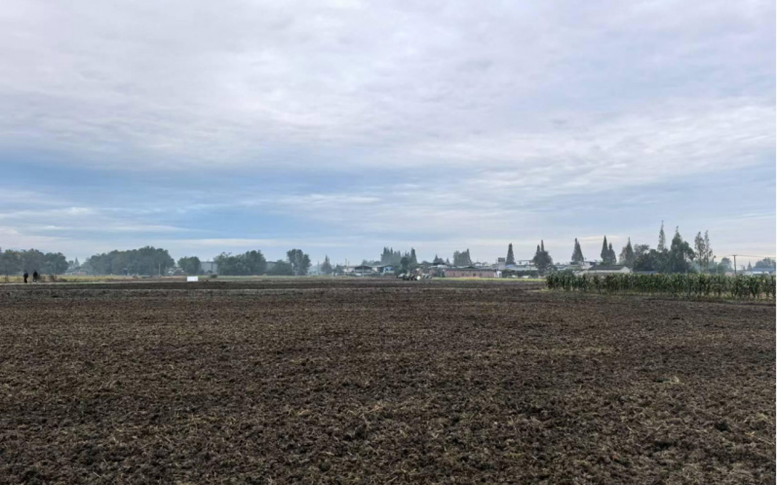 �Ĵ�ʡ�ɶ���2024��������³��򡢰�����߱�׼ũ...